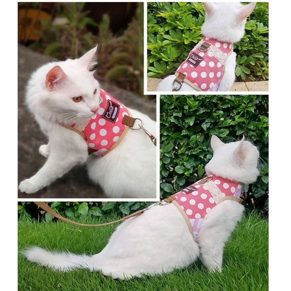 Polkadot Pink Cat Harness NWOT - Picture 2 of 6